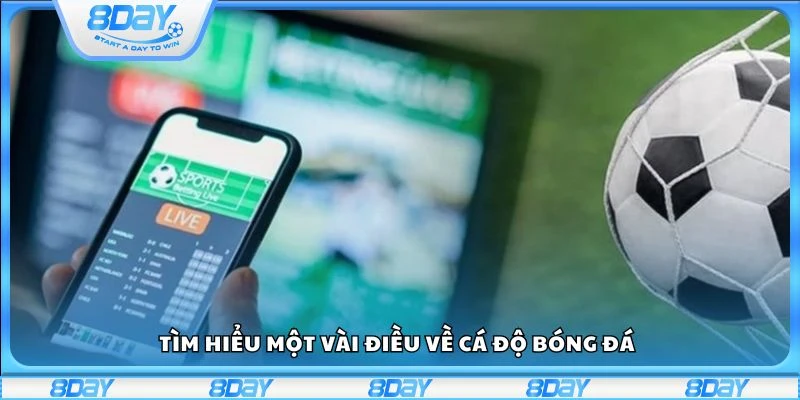 Tìm hiểu một vài điều về cá độ bóng đá